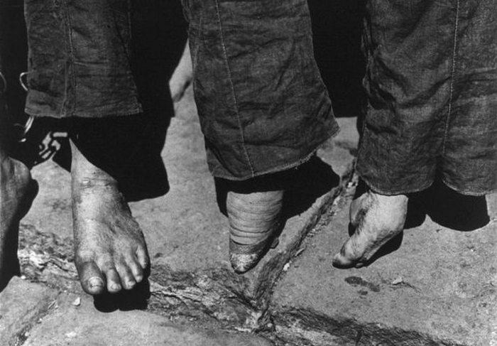 «Лотосы» оставались в моде до начала 1900-х годов «Лотосы» оставались в моде до начала 1900-х годов