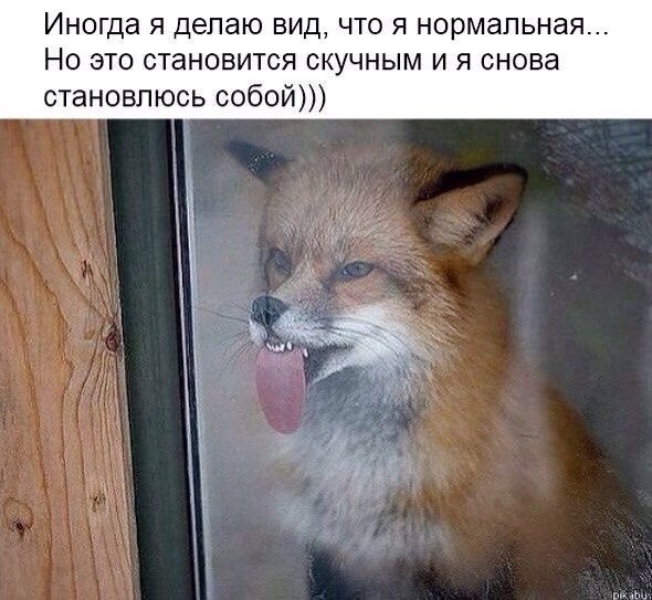 - Коля, а что ты делаешь?... Улыбнемся)) - Коля, а что ты делаешь?... Улыбнемся))