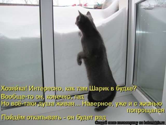 Котоматрицы великолепные, каждая с кусочком тепла, позитива и улыбкой!!! Всем добрых событий сегодня!!! Котоматрицы великолепные, каждая с кусочком тепла, позитива и улыбкой!!! Всем добрых событий сегодня!!!