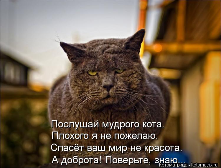 Пожелания для людей у которых все плохо Пожелания для людей у которых все плохо