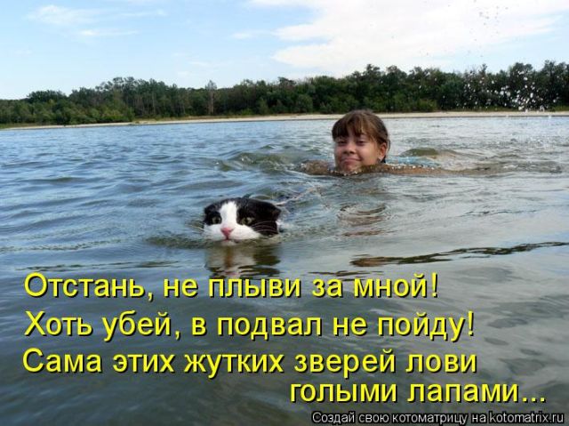 Котоматрицы великолепные, каждая с кусочком тепла, позитива и улыбкой!!! Всем добрых событий сегодня!!! Котоматрицы великолепные, каждая с кусочком тепла, позитива и улыбкой!!! Всем добрых событий сегодня!!!