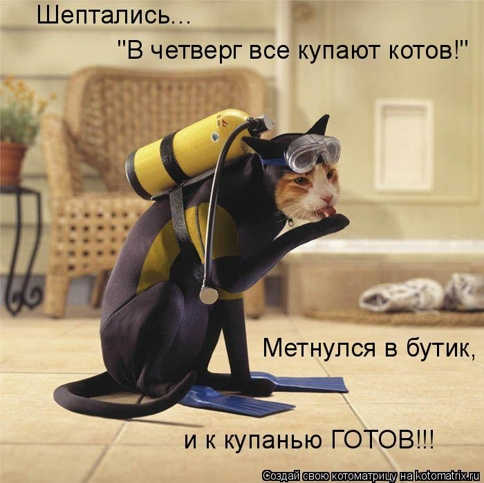 kotomatritsa_NK (700x699, 284Kb)