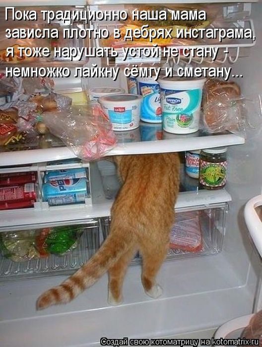 Лучшие котоматрицы, которые зарядят вас позитивом) Лучшие котоматрицы, которые зарядят вас позитивом)