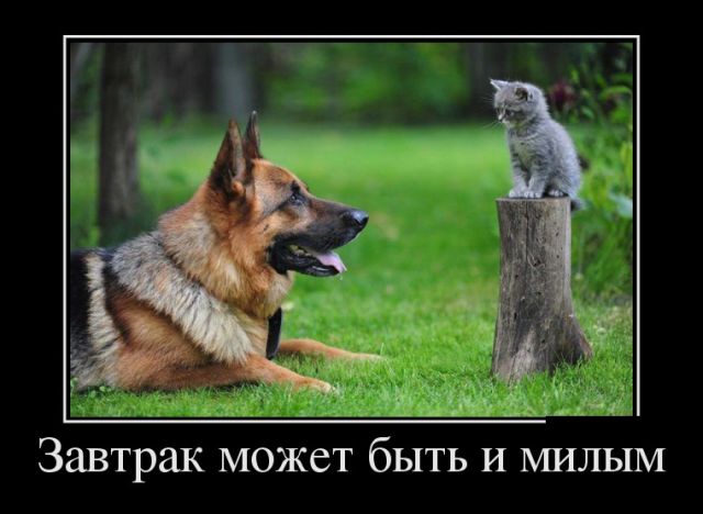Веселые и прикольные демотиваторы для хорошего настроения (11 фото) Веселые и прикольные демотиваторы для хорошего настроения (11 фото)