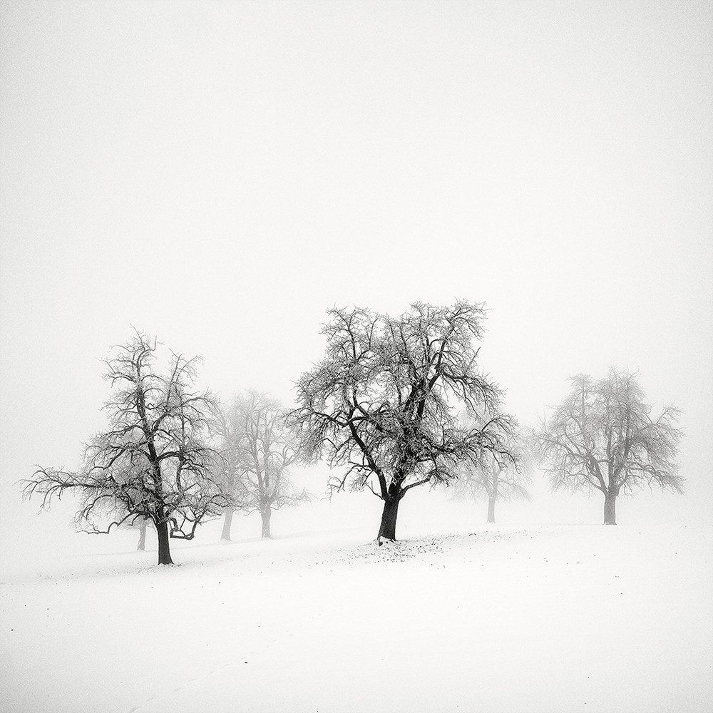 Cherno-belye-peyzazhnye-fotografii-Pera-Pellegrini 14