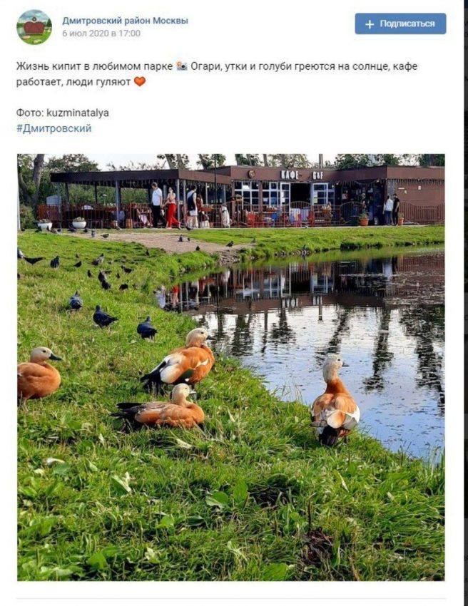 Фото дня: «жизнь кипит» в парке Дмитровского района