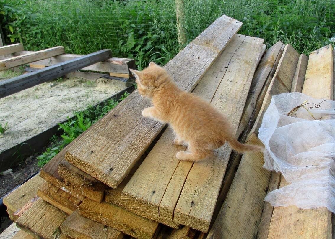 Особо ценная мелочь