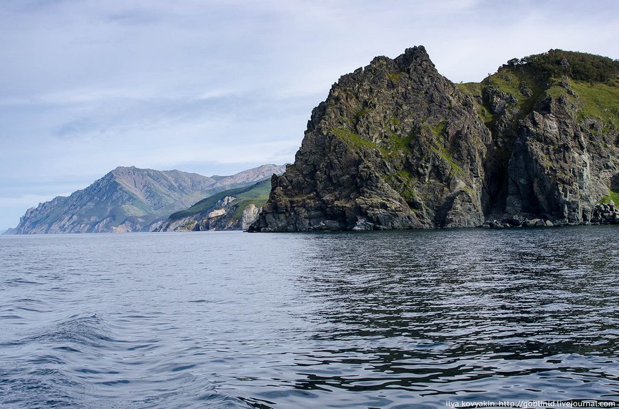 рыбалка