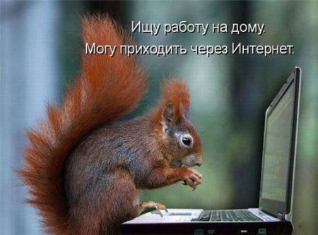 Смешные картинки о животных с подписями.