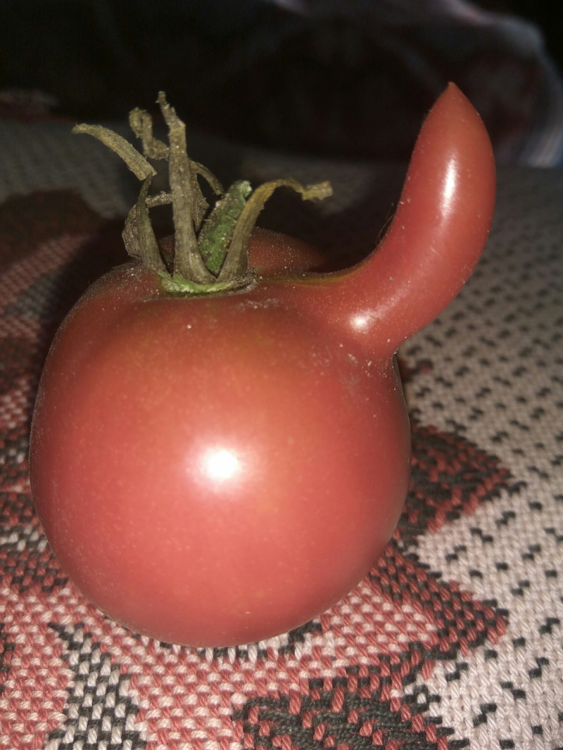 Прикольные помидоры