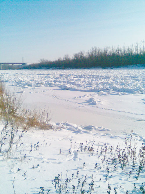 282-10-1.jpg 282-10-1.jpg