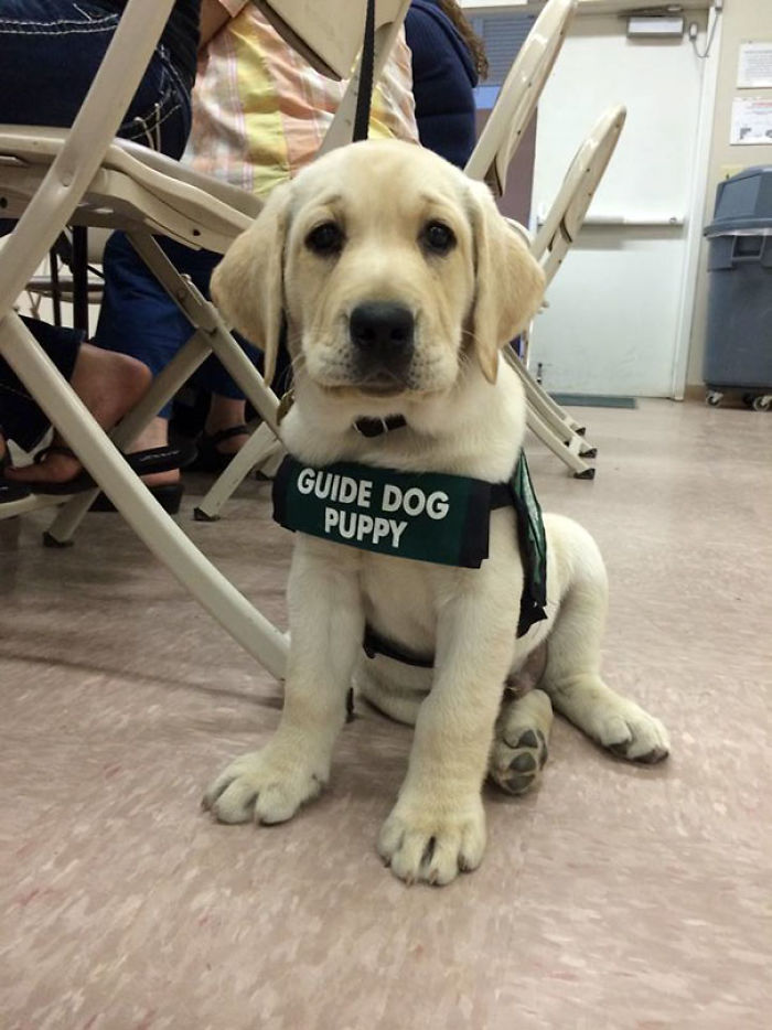 Proudly Wearing His Uniform