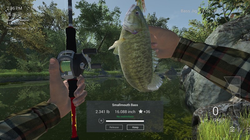 Fishing Planet — симулятор рыбака Fishing Planet — симулятор рыбака залипалово, игры, симуляторы