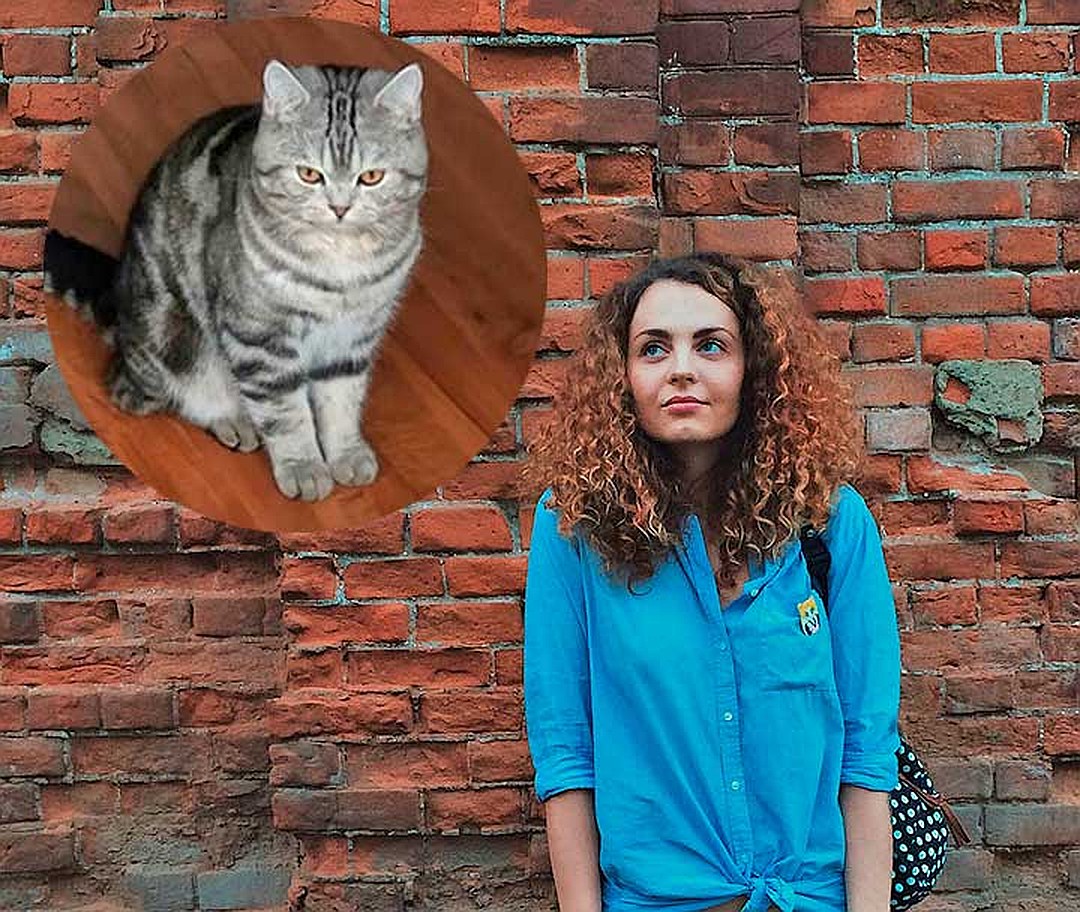 Коты, которые нас удивили