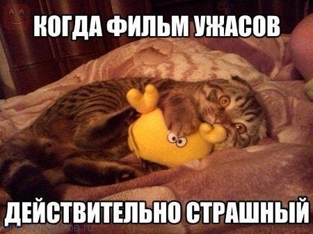 Итак…. в одном лесу Итак…. в одном лесу