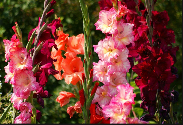 ���������� ����� ��������. ��� ������ ?