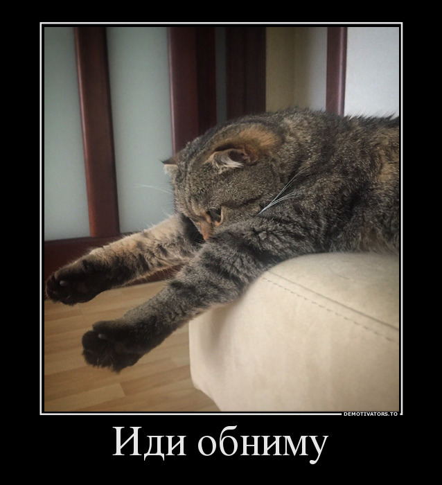Минутка умиления. Потратьте эту минутку с пользой для настроения!)