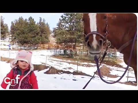 Малышка выгуливает лошадь. Или наоборот? Умилительное зрелище!