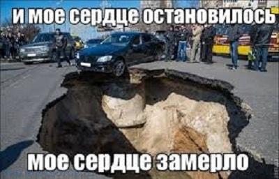 Итак…. в одном лесу Итак…. в одном лесу