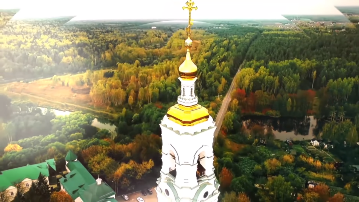 Почему мы так неблагодарны нашему президенту Владимиру Путину?