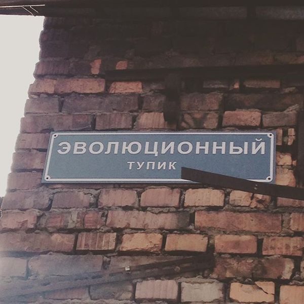 Ну вот кто-то же придумывает такое? Ну вот кто-то же придумывает такое?