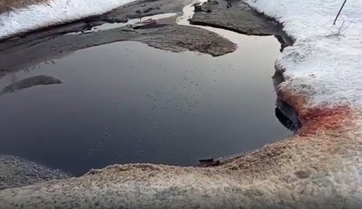 Водоем из крови обнаружили в Омской области