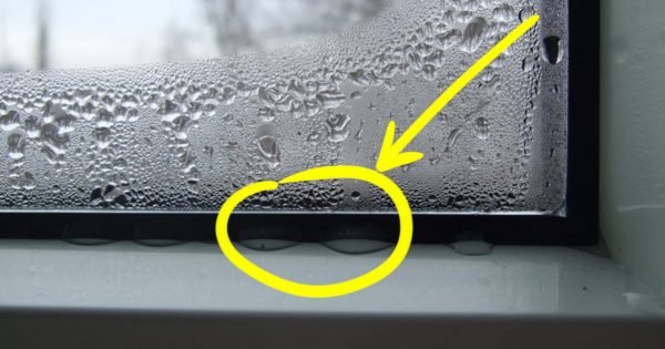 thumb-600x315