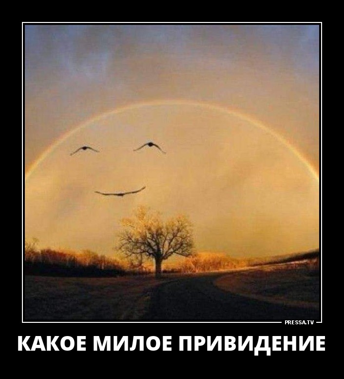 Демотиваторы отличной подборочкой для зарядки позитивом на весь день! Демотиваторы отличной подборочкой для зарядки позитивом на весь день!