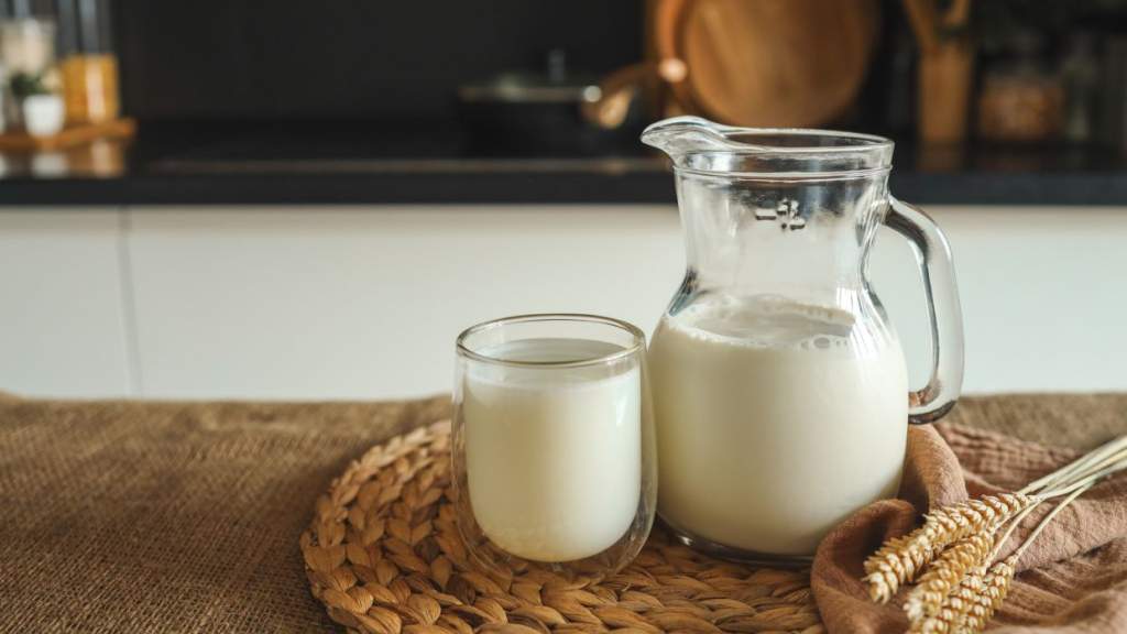 Козье молоко: польза и вред для организма мужчин, женщин, противопоказания