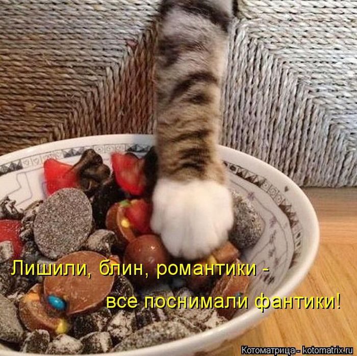 Лучшие котоматрицы, которые зарядят вас позитивом) Лучшие котоматрицы, которые зарядят вас позитивом)