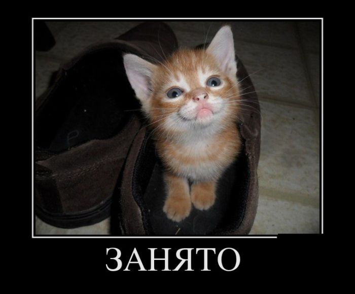 САМЫЕ НОВЫЕ ДЕМОТИВАТОРЫ САМЫЕ НОВЫЕ ДЕМОТИВАТОРЫ