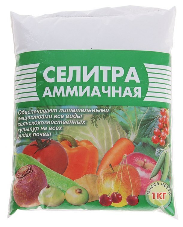 Источник Яндекс картинки