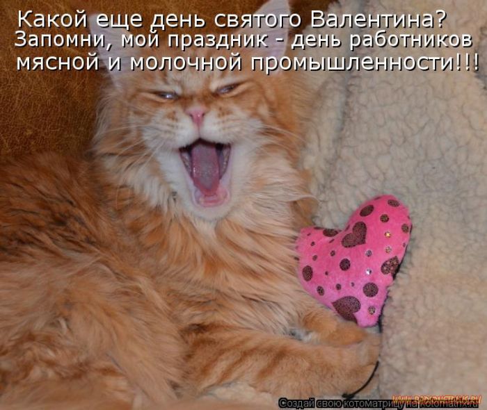 Котоматрицы великолепные, каждая с кусочком позитива и хорошего настроения!!! Котоматрицы великолепные, каждая с кусочком позитива и хорошего настроения!!!