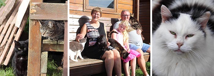 В приюте «Les Petits Vieux». В приюте «Les Petits Vieux».