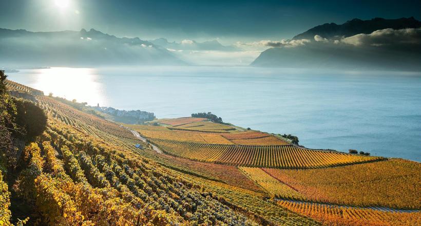2500x1668 lavaux generalgregoire chappuis