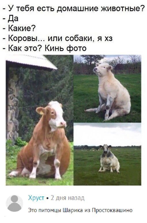 Люди говорят Люди говорят