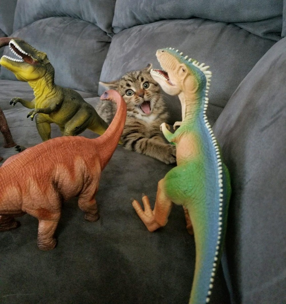 динозавр смешные картинки