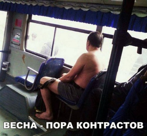 Новые прикольные фотомемы (24 шт) Новые прикольные фотомемы (24 шт)