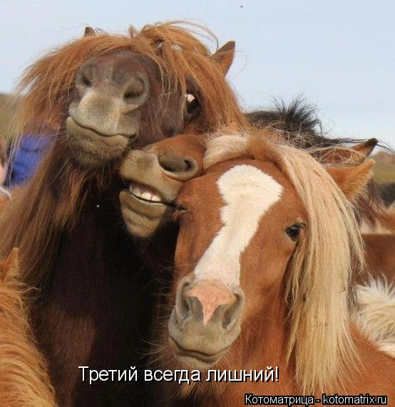 kotomatritsa_2 (1) (554x572, 202Kb)