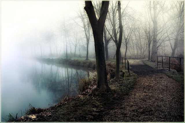 Особое настроение -- туманные пейзажи фотографа Габора Дворника (Gabor Dvornik)