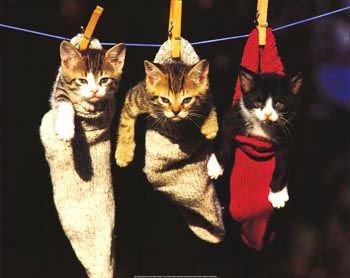 Давайте улыбаться вместе! :) (16 поводов)