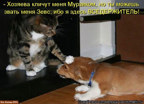 Самая убойная котоматрица Самая убойная котоматрица