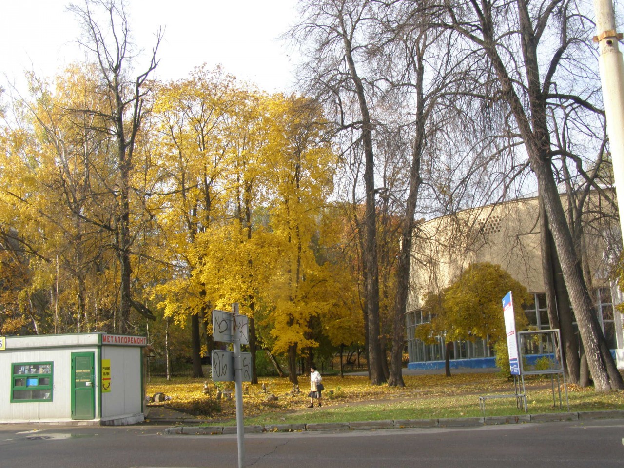Прогулки по Москве. Осень на ВДНХ. Прогулки по Москве. Осень на ВДНХ 2014.
