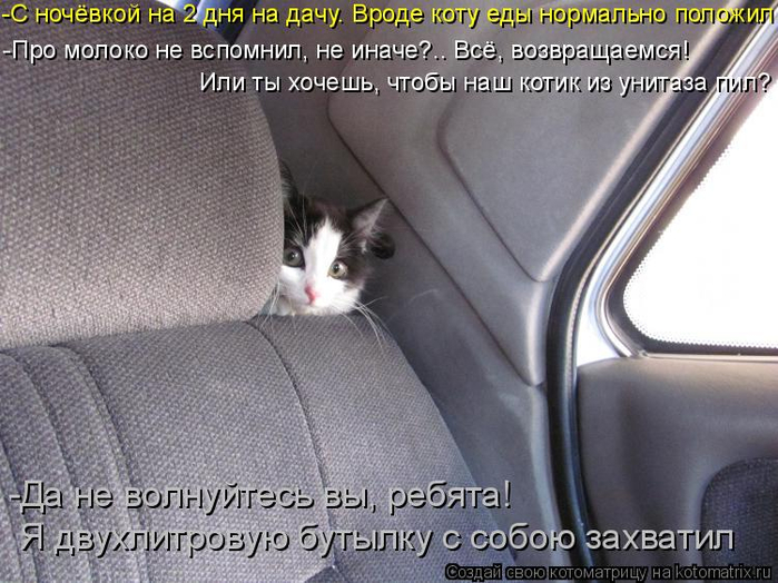 kotomatritsa_2 (700x524, 354Kb)