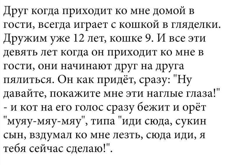 Смешные комментарии из социальных сетей Смешные комментарии из социальных сетей приколы, смешные комментарии, юмор