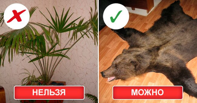 Энергетика вещей! Какие вещи нужно срочно выбросить из дома, а какие — оставить