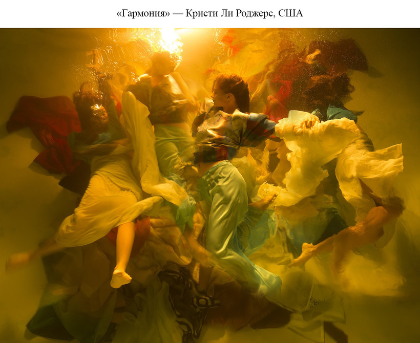 Блог - Представлены потрясающие победители конкурса Sony World Photography Awards 2019 Представлены потрясающие победители конкурса Sony World Photography Awards 2019
