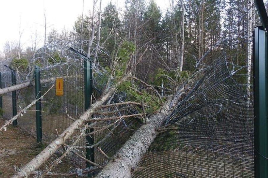 Oktoobrikuine torm kukutas moodsale piirilõigule puid ja tegi kahju kümnete tuhandete eurode eest. FOTO: PPA