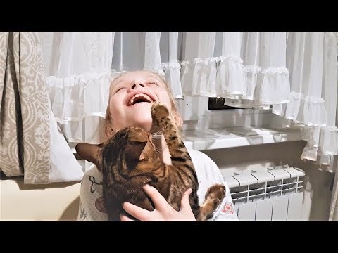 Приколы и Смешные Видео с Животными 2018 Лучшие Русские Приколы За Неделю Приколы и Смешные Видео с Животными 2018 Лучшие Русские Приколы За Неделю
