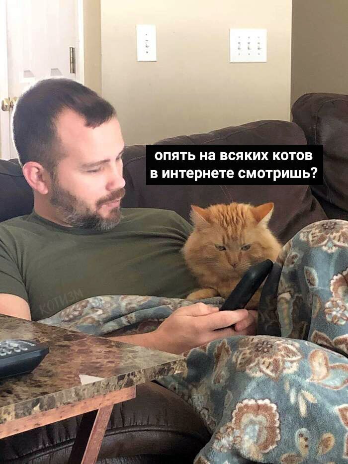 Девушки, как кошки Тонкости семейной жизни в наши дни
(20 фото)